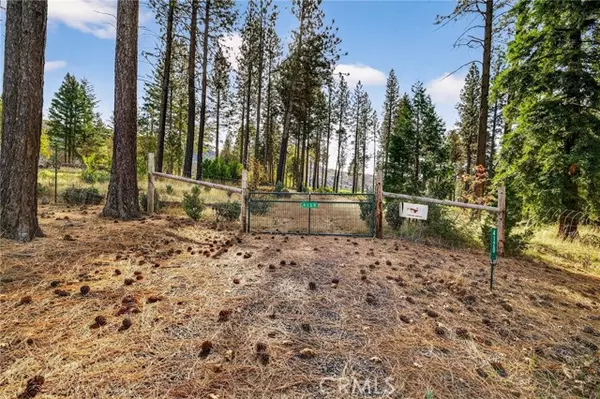 Oroville, CA 95965,4120 Jack Dale