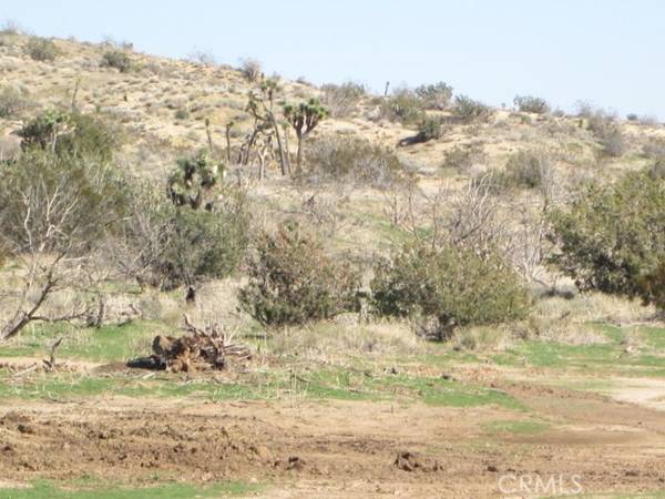 0 Vic Cheseboro Rd/Ave U8, Littlerock (also Little Rock), CA 93543