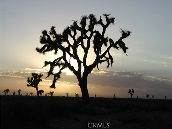 13021 Vac/Ave R12/Vic 130th Ste, Littlerock (also Little Rock), CA 93543