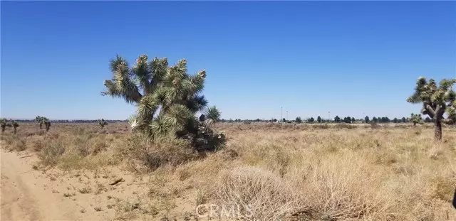 Palmdale, CA 93552,25 E Avenue L4