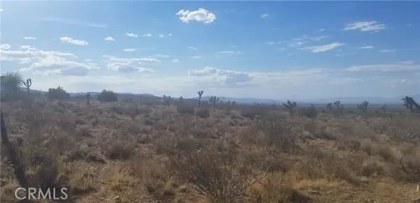 Llano, CA 93544,0 Vac/175 Ste/Vic Ft Tejon Road