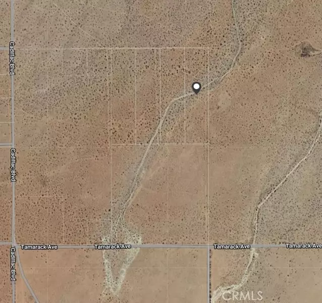 0 Tamarack Avenue, California City, CA 93505