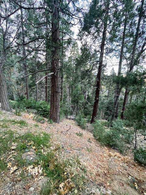 0 Mojave River Road, Cedarpines Park, CA 92322