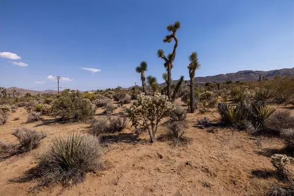 Joshua Tree, CA 92252,0 Saddleback Avenue