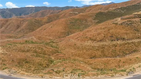 Castaic, CA 91384,0 Ridge Route Road