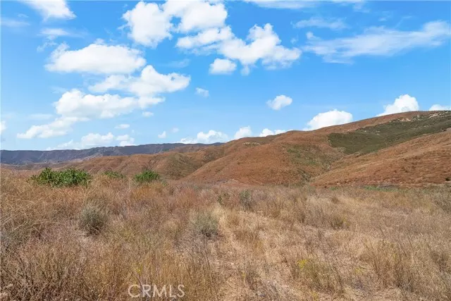 Castaic, CA 91384,0 Ridge Route Road