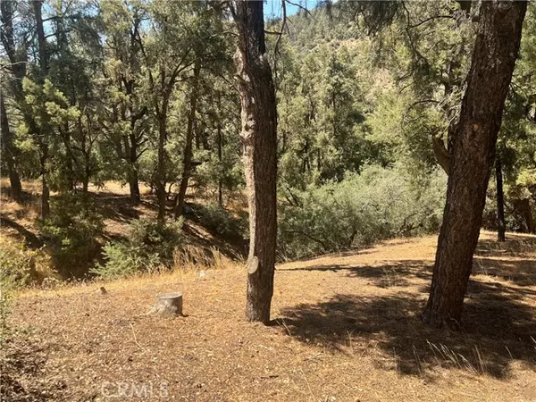 Pine Mtn Club, CA 93225,2721 Bryce Court