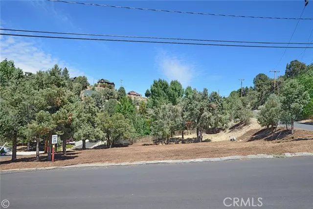 Pine Mtn Club, CA 93222,2029 St Bernard Drive