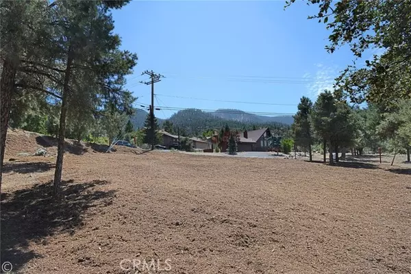 Pine Mtn Club, CA 93222,2029 St Bernard Drive