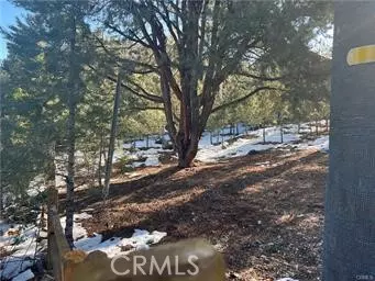 Pine Mtn Club, CA 93222,1604 Linden Drive