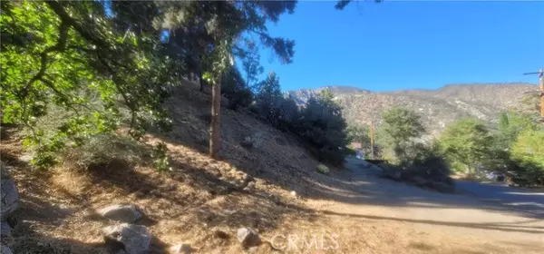 Frazier Park, CA 93225,0 Pine Canyon