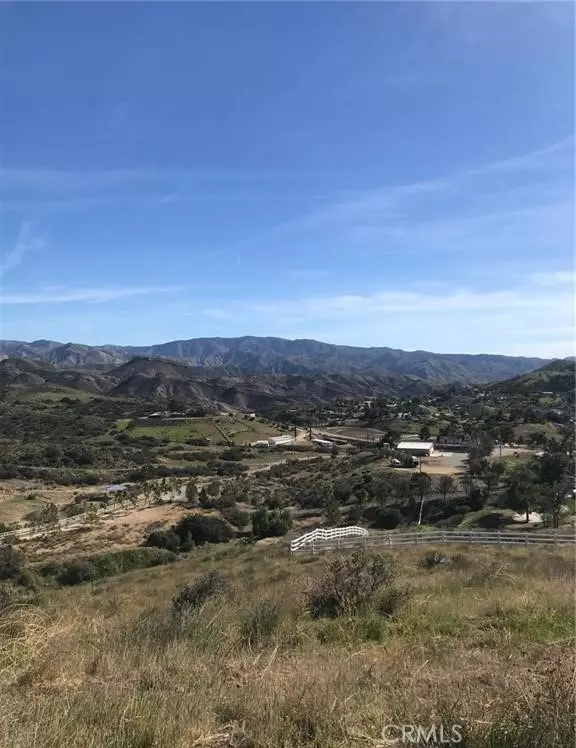 Agua Dulce, CA 91350,0 Vac/Vic Willow Ln/ Woolsox Road