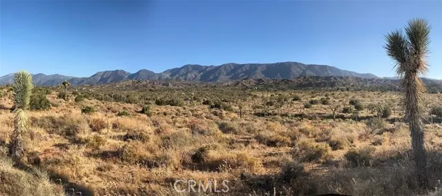 Pearblossom, CA 93553,11640 Fort Tejon Road