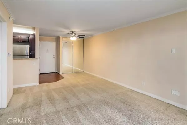 Woodland Hills (los Angeles), CA 91367,5500 Owensmouth Avenue #216