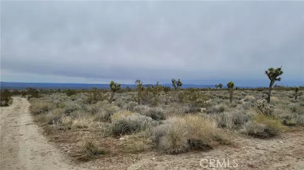 Llano, CA 93544,0 202nd St E & Ave X4