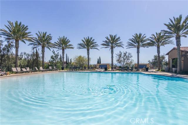 Porter Ranch (los Angeles), CA 91326,20724 W Beech Circle