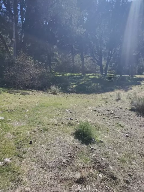 Frazier Park, CA 93225,237 Pine Canyon Drive