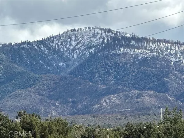 Llano, CA 93544,0 263rd Street