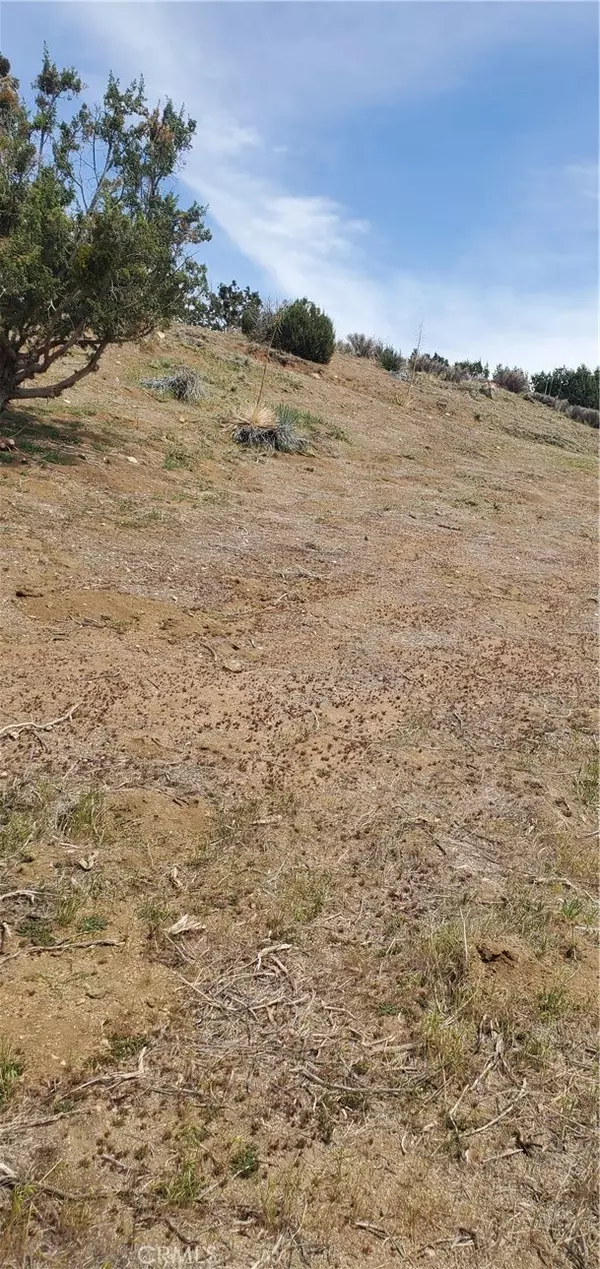 Acton, CA 93550,0 Soledad Pass/Hillside Drive