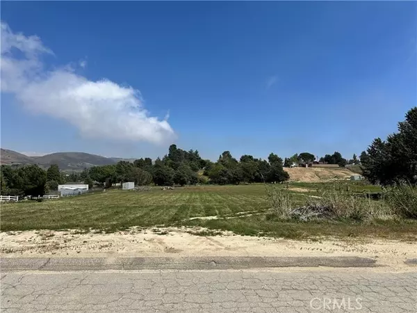 Leona Valley, CA 93551,0 87th Street