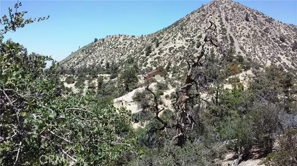 Pinon Hills, CA 92372,0 Desert Front