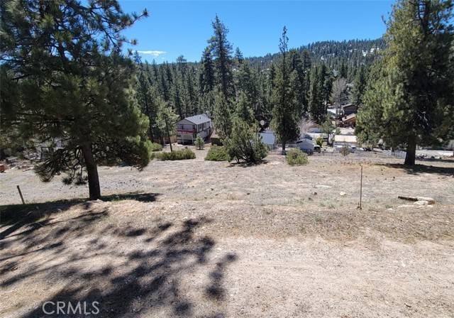 Big Bear Lake, CA 92315,39243 Crest Lane