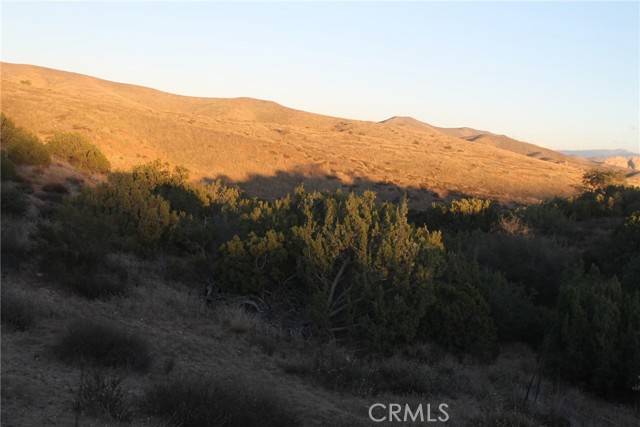0 Vac/Windrush Rd/Vic Tatina Lane, Agua Dulce, CA 91390