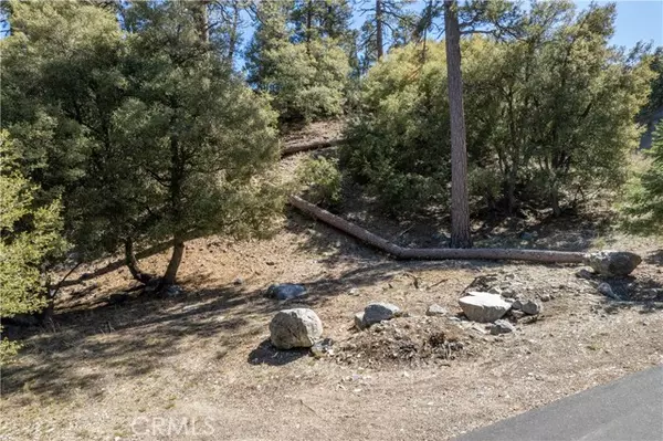 1300 Banff Drive, Pine Mtn Club, CA 93222