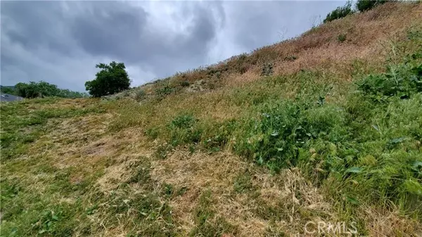 Elizabeth Lake, CA 93532,0 Cutwood Rd