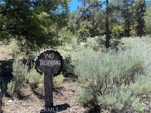 Pine Mtn Club, CA 93222,1912 Ironwood Drive