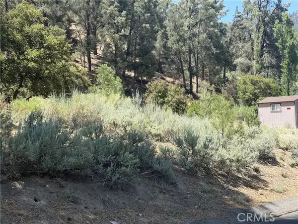 Pine Mtn Club, CA 93222,2221 Symonds Drive