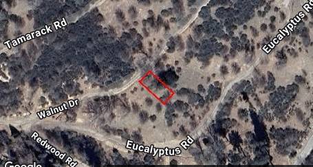 0 Walnut Drive, Cedar Glen, CA 92321