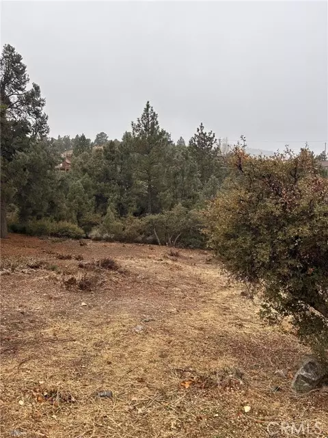 Pine Mtn Club, CA 93222,2029 Zermatt Drive