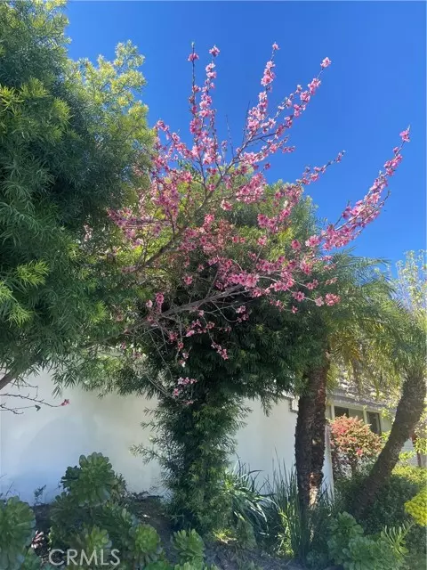 Encino (los Angeles), CA 91436,17041 Escalon Drive