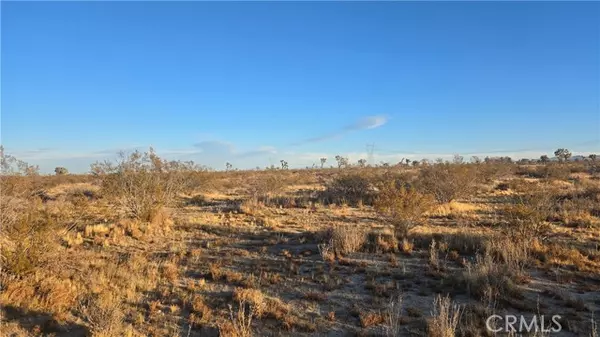 Llano, CA 93544,0 Avenue U4 & 257th St E