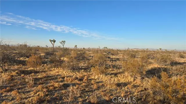 Llano, CA 93544,0 Avenue U4 & 257th St E