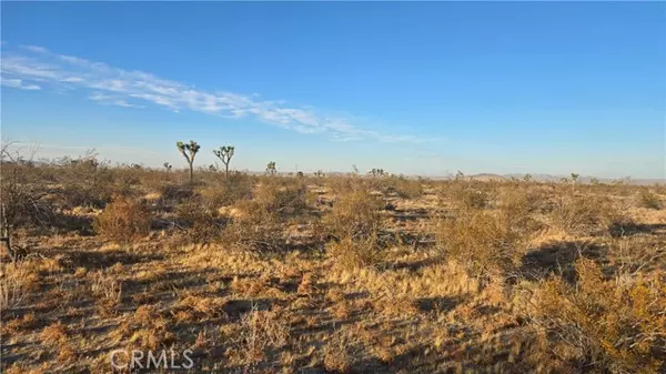 0 Avenue U4 & 257th St E, Llano, CA 93544