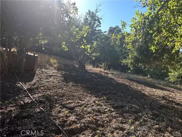 0 Paradise Lane, Topanga (los Angeles), CA 90290