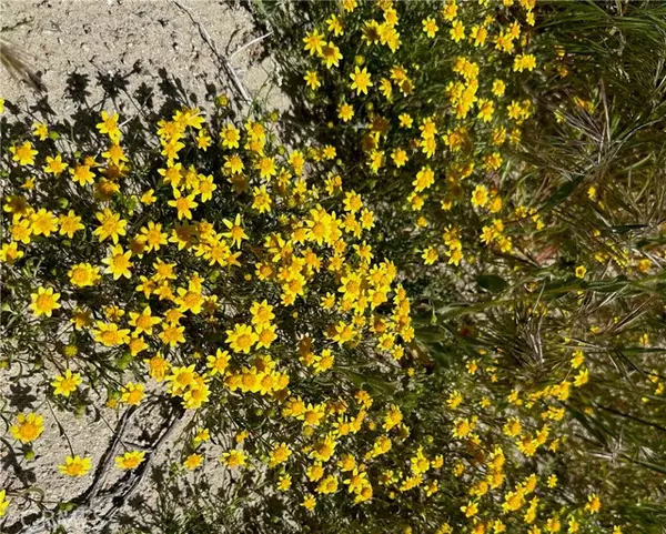 Lancaster, CA 93536,0 W 45th Street