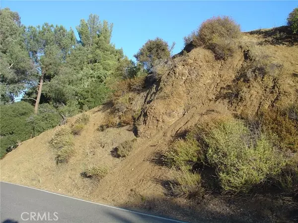 Agoura Hills, CA 91311,0 Laura La Plante