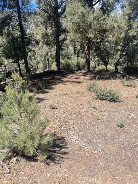 Pine Mtn Club, CA 93222,2426 Cedarwood