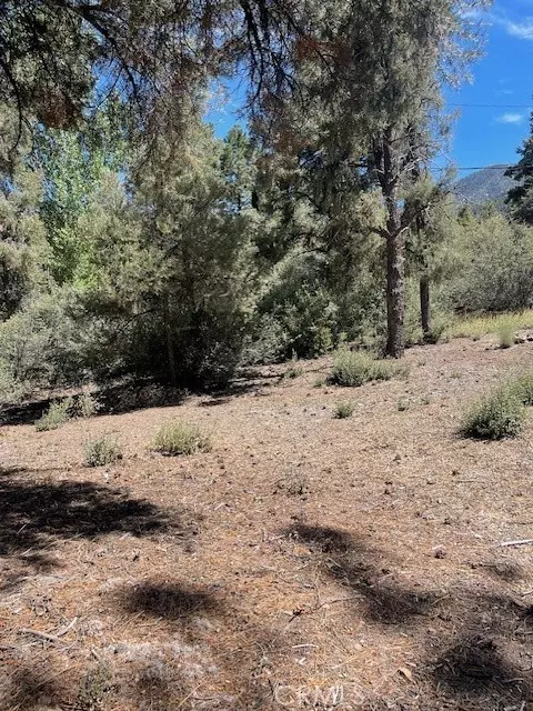 Pine Mtn Club, CA 93222,2426 Cedarwood