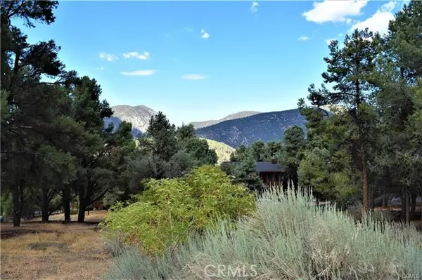 Pine Mtn Club, CA 93225,14704 Pinehurst Drive