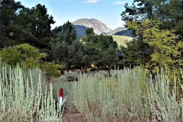 Pine Mtn Club, CA 93225,14704 Pinehurst Drive