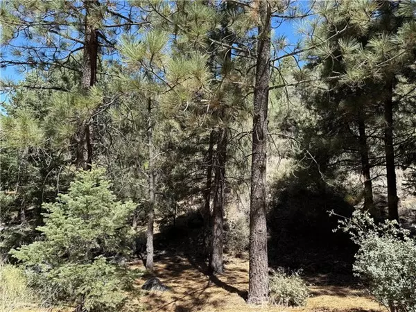 Pine Mtn Club, CA 93222,1420 Linden Drive