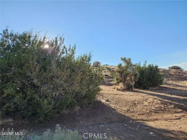 Lake Hughes, CA 93532,0 Vac/Vic Ave L8/55th Street