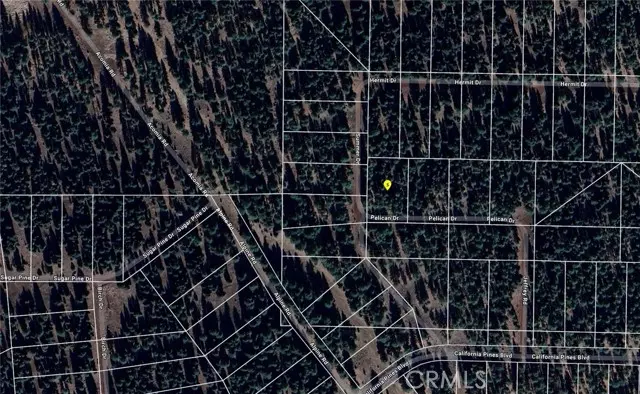 Alturas, CA 96101,0 Pelican