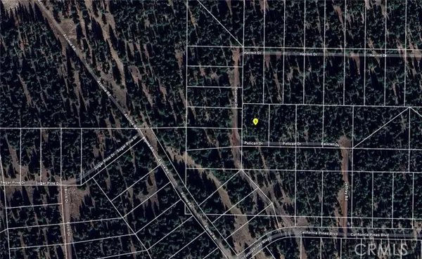 0 Pelican, Alturas, CA 96101