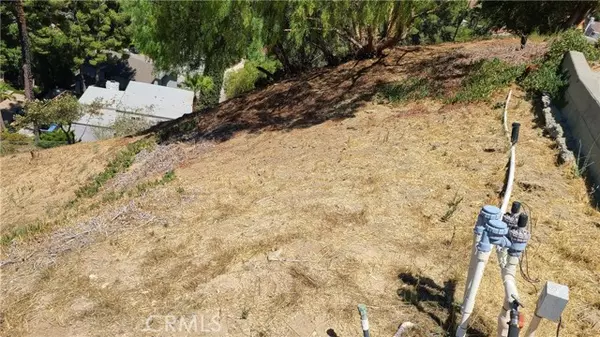 Woodland Hills (los Angeles), CA 91364,4328 TORREON Drive