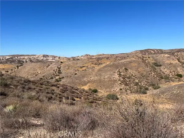 Canyon Country (santa Clarita), CA 91351,0 No address